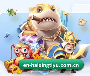 探索 海星体育 的故事